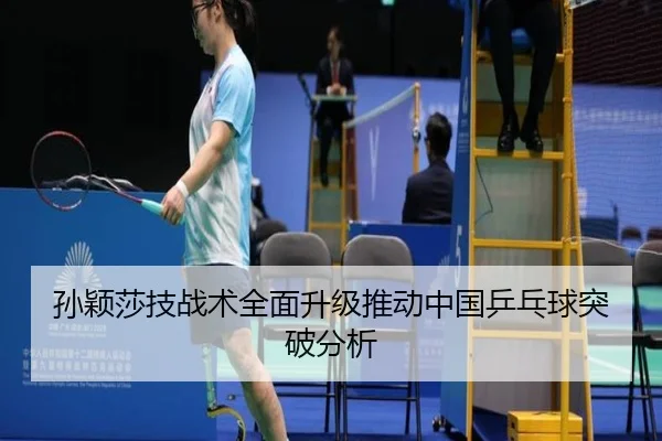 sun-ying-sha-ji-zhan-shu-quan-mian-sheng-ji-tui-dong-zhong-guo-ping-pang-qiu-tu-po-fen-xi-2-372.jpg